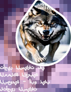 ذياب لتاجير