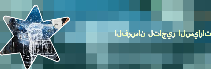 شركة برنسس لتاجير السيارات